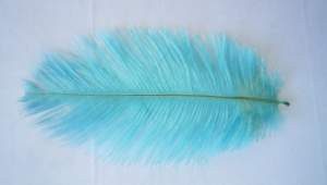 PLUMA AVESTRUZ 17-23CM