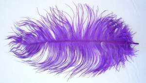 PLUMA AVEZTRUZ 28-33CM