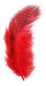 PLUMA GALLINA GUINEA C/5GRS