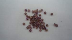 CHAQUIRON ESPECIAL 50 GRS